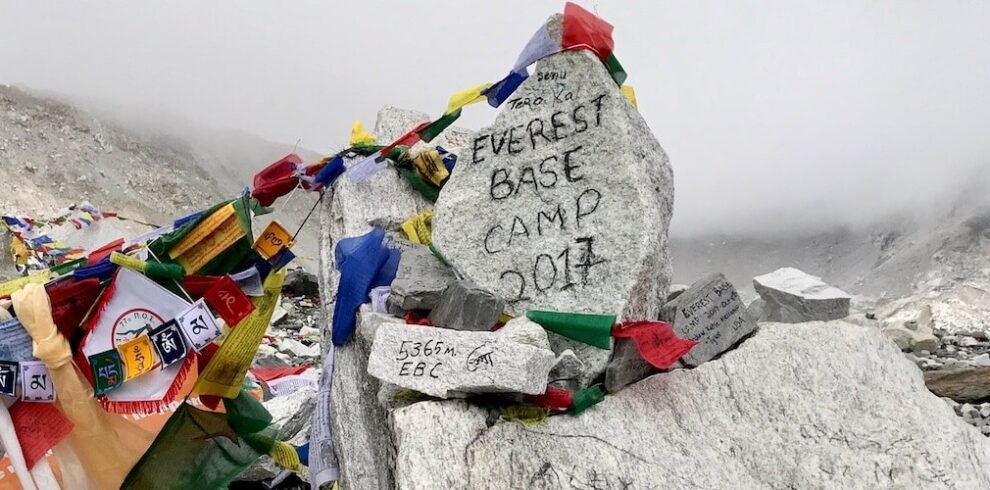 mari partyka plzgu9o7xag unsplash (1) (1)