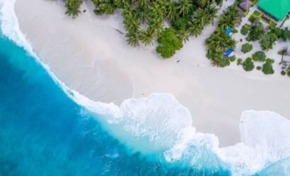 shifaaz shamoon rl9l9ml6pvs unsplash