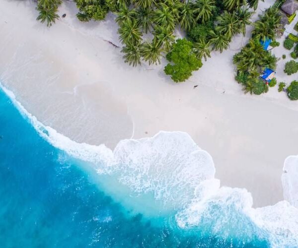 shifaaz shamoon rl9l9ml6pvs unsplash