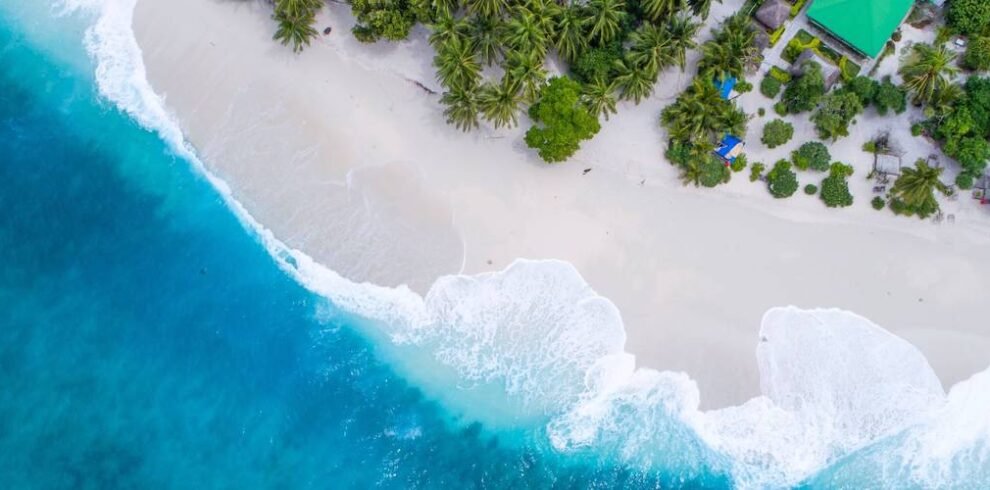 shifaaz shamoon rl9l9ml6pvs unsplash