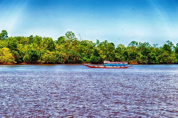 boat on the suriname river, suriname, south america